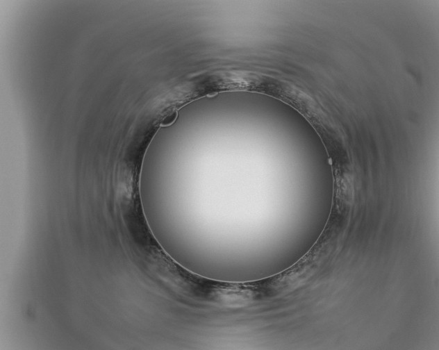 X0000112790331200908281512