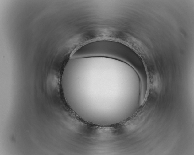 X0000112790332200908281512