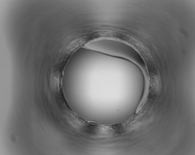 X0000112790333200908281512