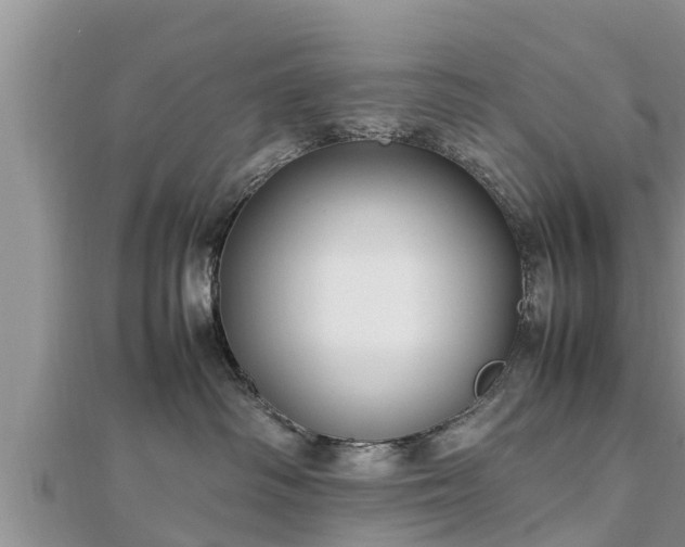 X0000112790334200908281512