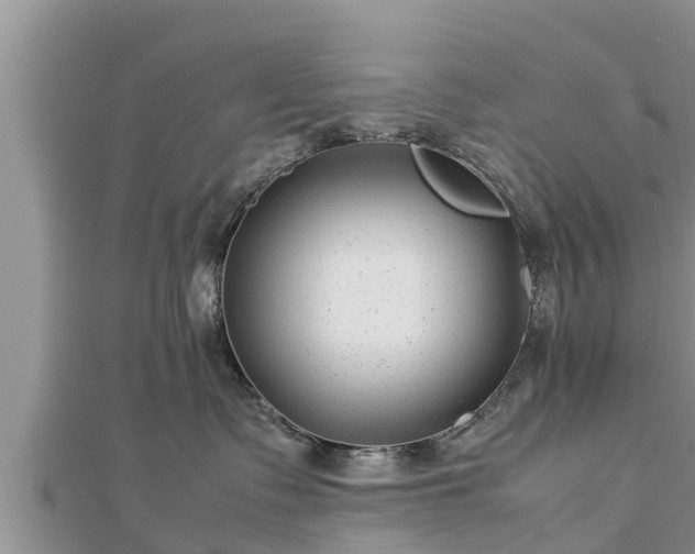 X0000112790335200908281512