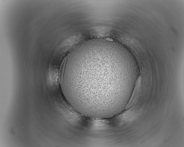 X0000112790336200908281512