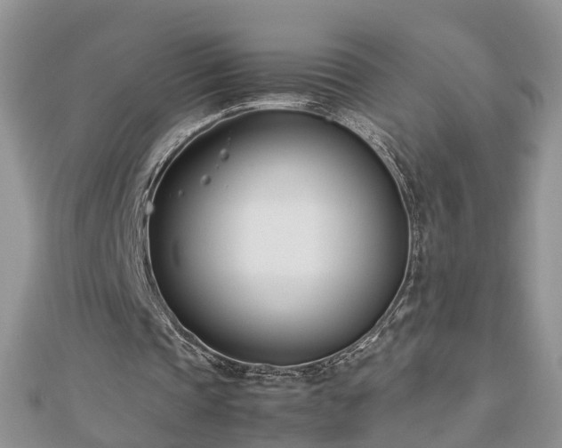 X0000112790337200908281511