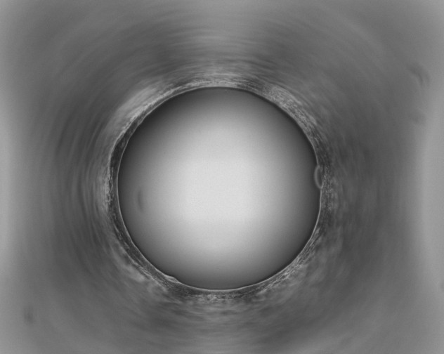 X0000112790338200908281511