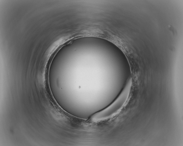 X0000112790340200908281511