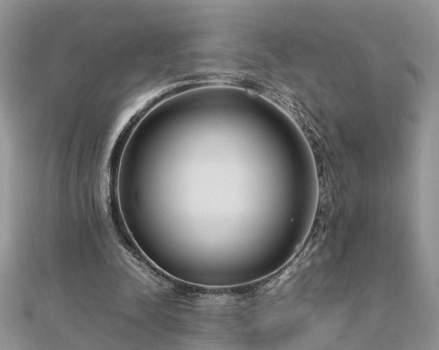 X0000112790342200908281511