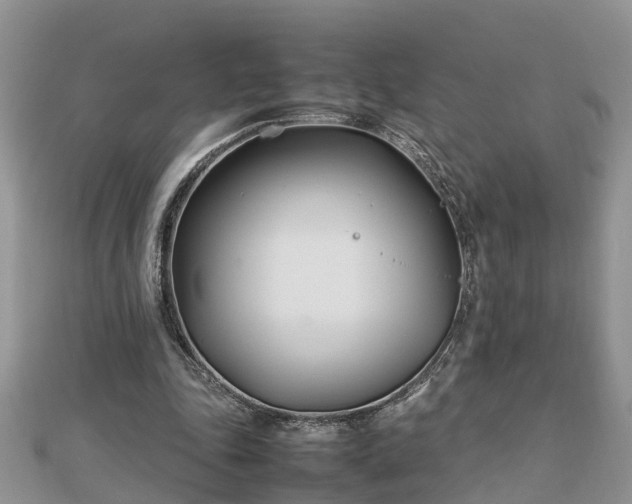 X0000112790343200908281511