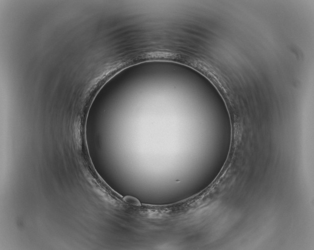 X0000112790345200908281511