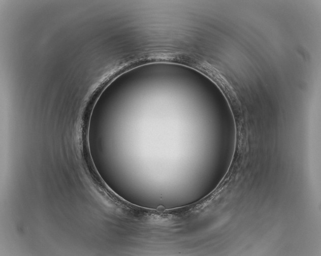 X0000112790346200908281511