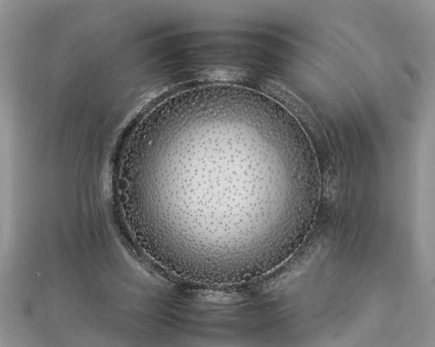 X0000112790347200908281511