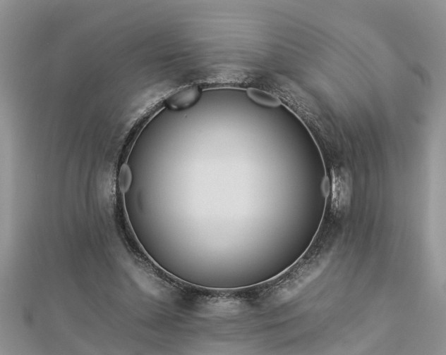 X0000112790348200908281511