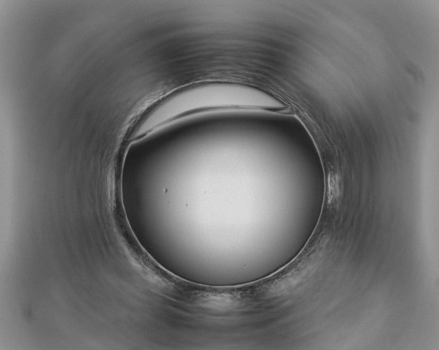 X0000112790349200908281511