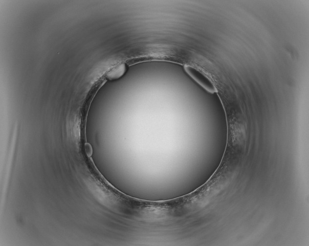 X0000112790350200908281511