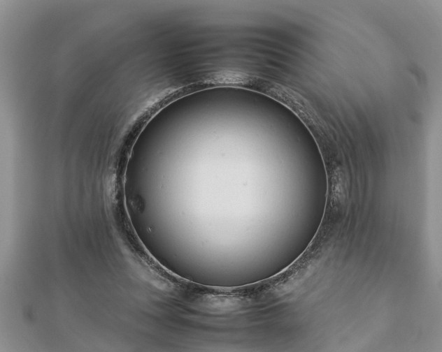 X0000112790351200908281511