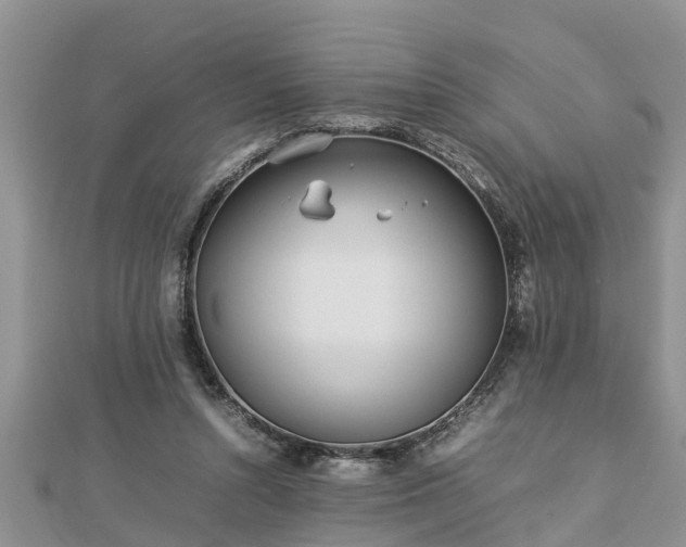 X0000112790352200908281511