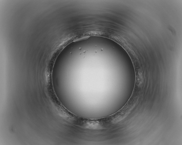 X0000112790355200908281512