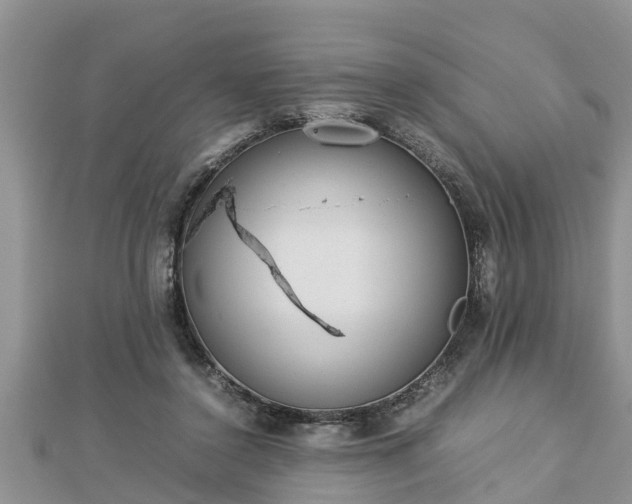 X0000112790356200908281512