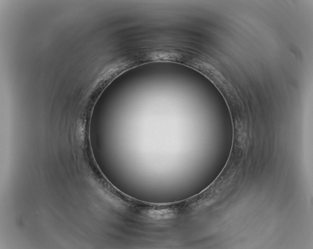 X0000112790357200908281512