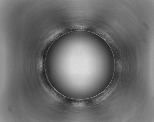 X0000112790358200908281512