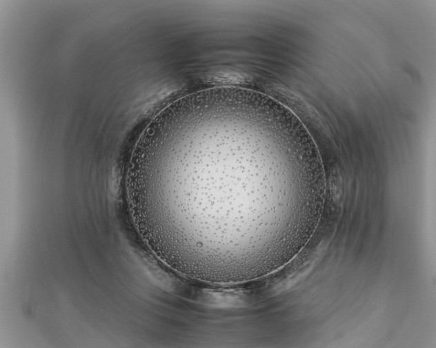 X0000112790359200908281512