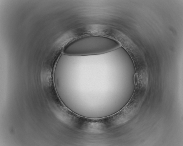 X0000112790360200908281512