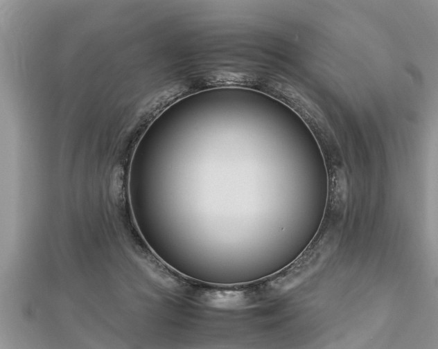 X0000112790361200908281512