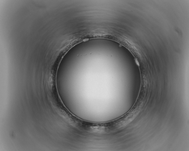 X0000112790362200908281512