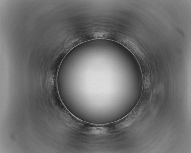 X0000112790363200908281512