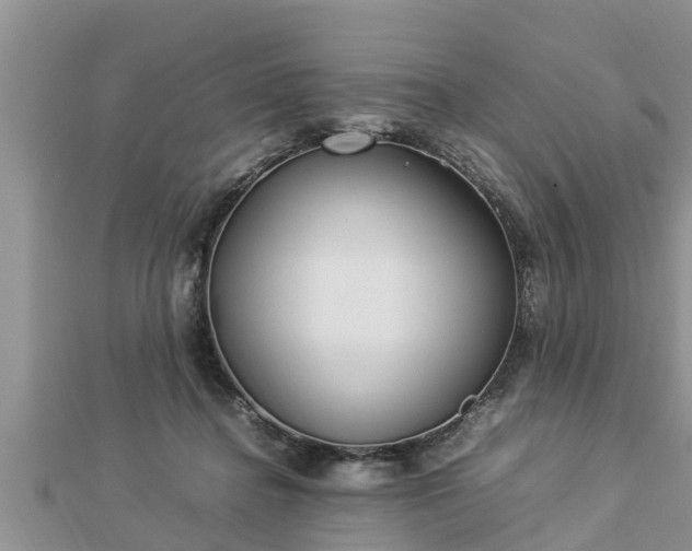 X0000112790364200908281512