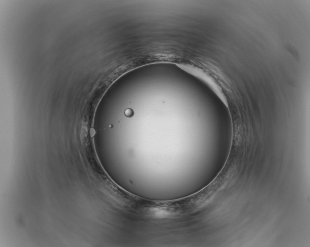 X0000112790365200908281512