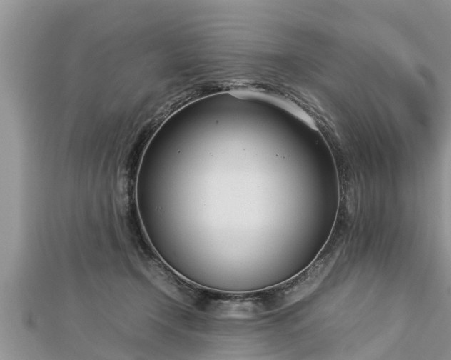 X0000112790366200908281512