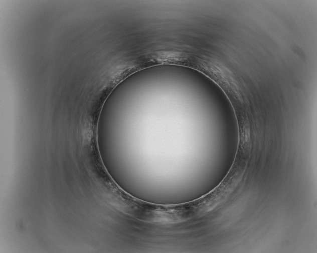 X0000112790367200908281512