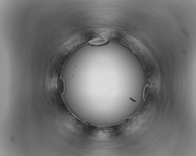 X0000112790368200908281512