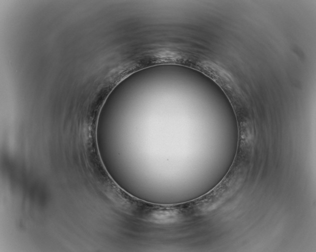 X0000112790369200908281512