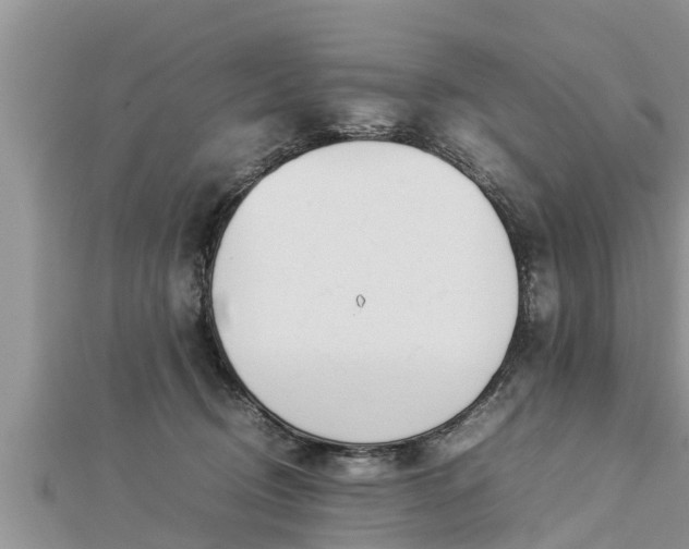 X0000112790370200908281512