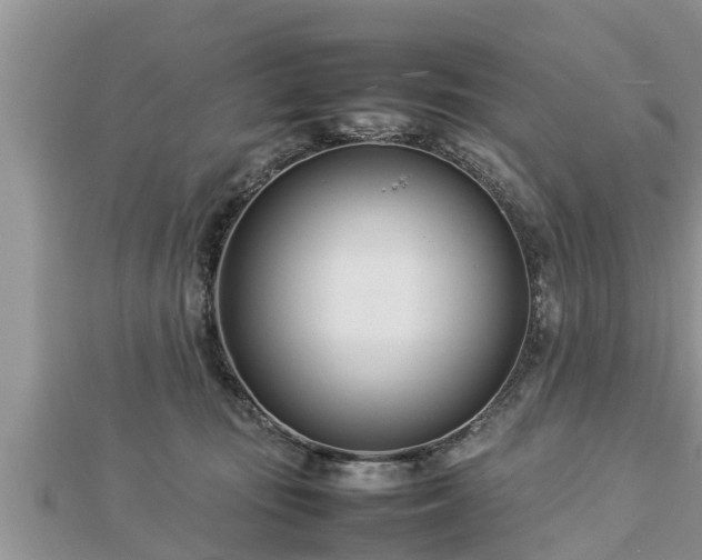 X0000112790371200908281512