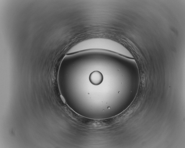 X0000112790372200908281512