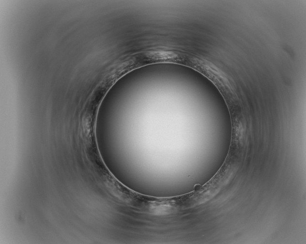 X0000112790373200908281512