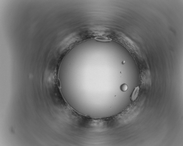 X0000112790376200908281512