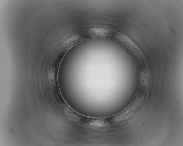 X0000112790377200908281512