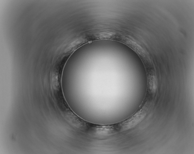 X0000112790378200908281512