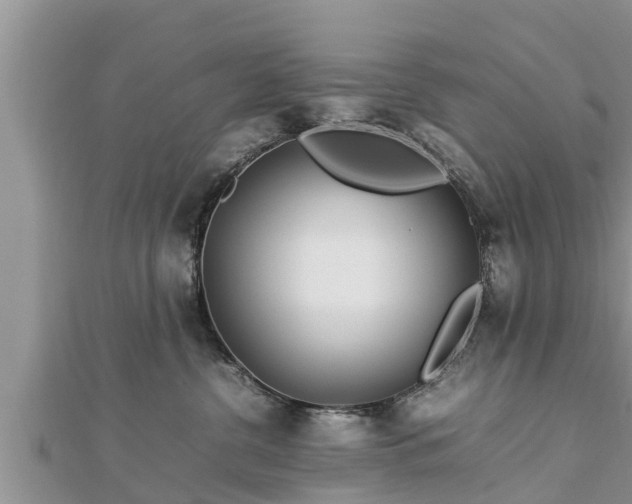 X0000112790380200908281512