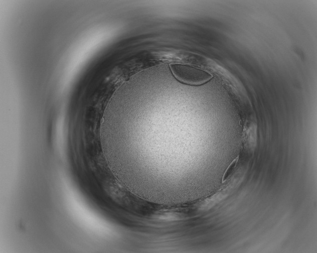 X0000112790381200908281512