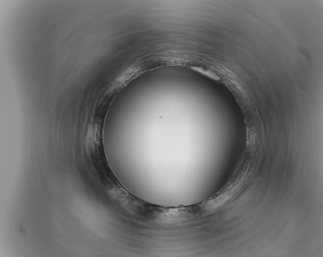 X0000112790382200908281512