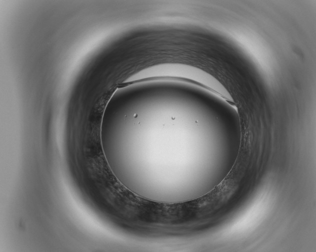 X0000112790383200908281512