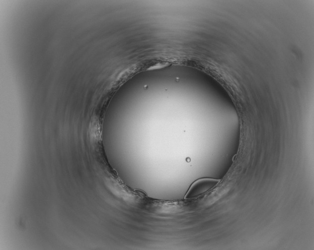 X0000112790384200908281512