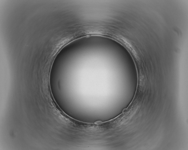 X0000112790385200908281511