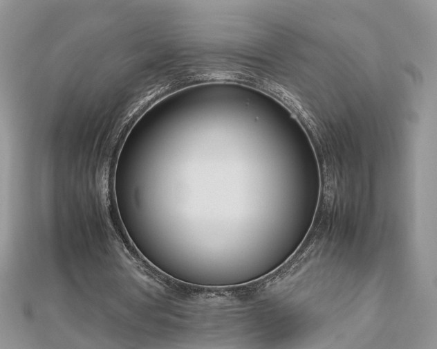 X0000112790386200908281511