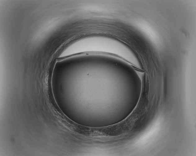 X0000112790387200908281511