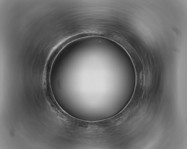 X0000112790388200908281511